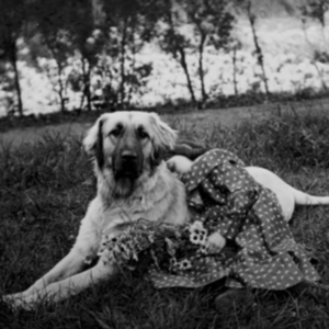 3D Stereoscopic Photographs of Dogs and Cats in the Victorian Era (1800’s)